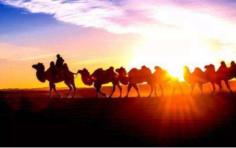 絲綢之路遺址保護(hù)高級培訓(xùn)班圓滿結(jié)業(yè)